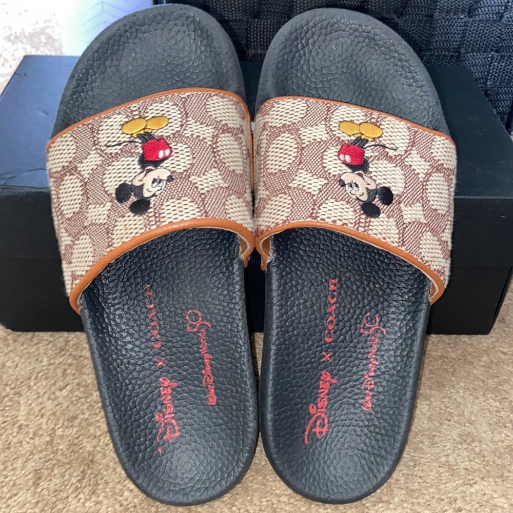 Coach x Disney Slides